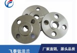广东厂家定制生产钛法兰-带颈平焊法兰 板式平焊法兰